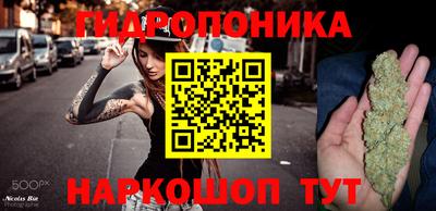 a pvp Жуковский