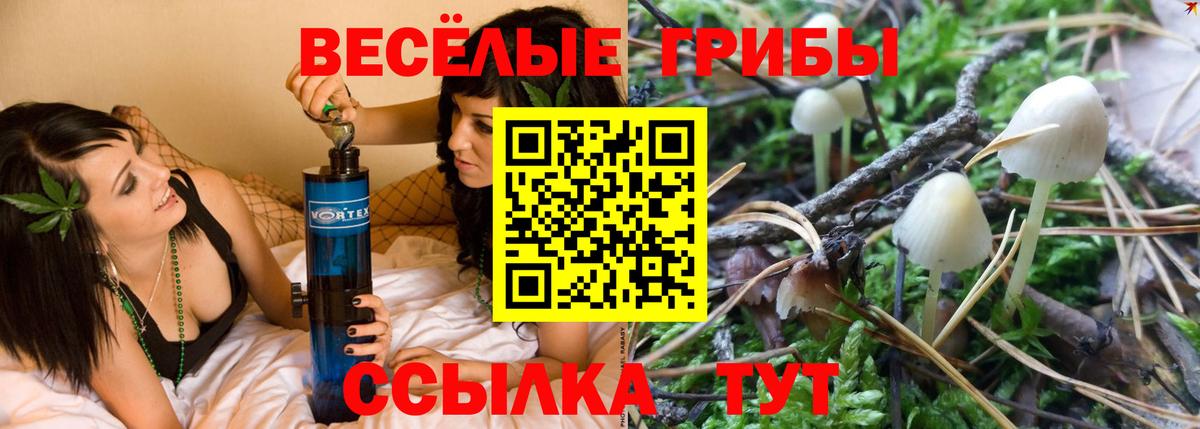 хочу наркоту  Вход с VPN  Галлюциногенные грибы Psilocybine cubensis  Майкоп  Псилоцибиновые грибы мухоморы 